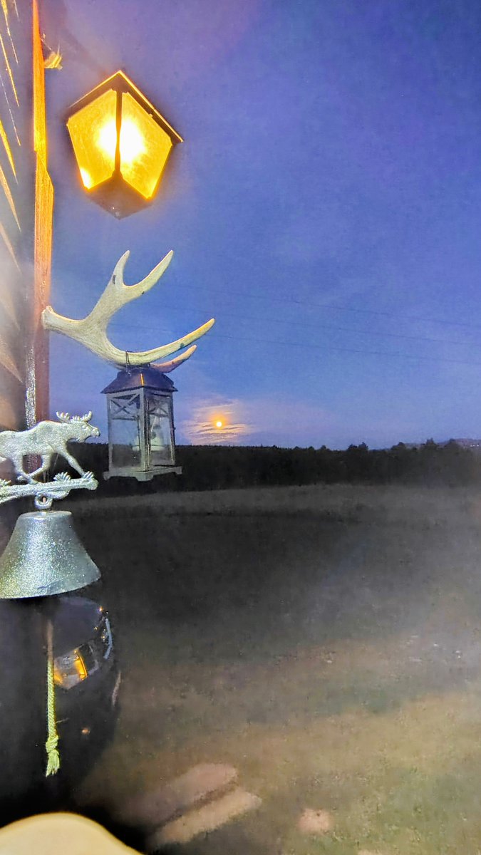 Peace on earth, too much to ask for?