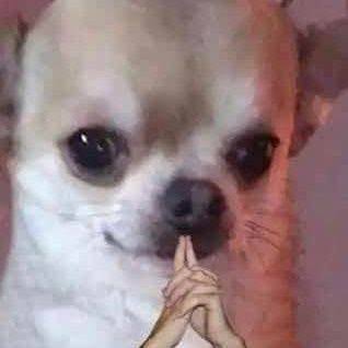 Esperando el #sismo de verdad después del #SimulacroNacional 
#AlertaSísmica