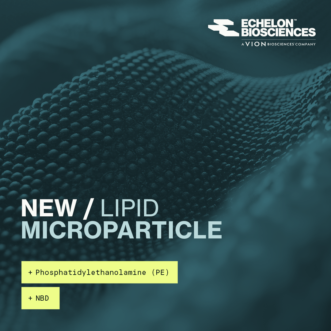 👉 New Product Alert
We’re excited to introduce PE Lipid Microparticles, NBD — a fluorescently labeled microparticle designed for apoptosis &amp; phagocytosis research.

✔️ Learn more: echelon-inc.com/product/pe-lip…

#Apoptosis #Phagocytosis #LipidResearch #FluorescentProbes #DrugDiscovery