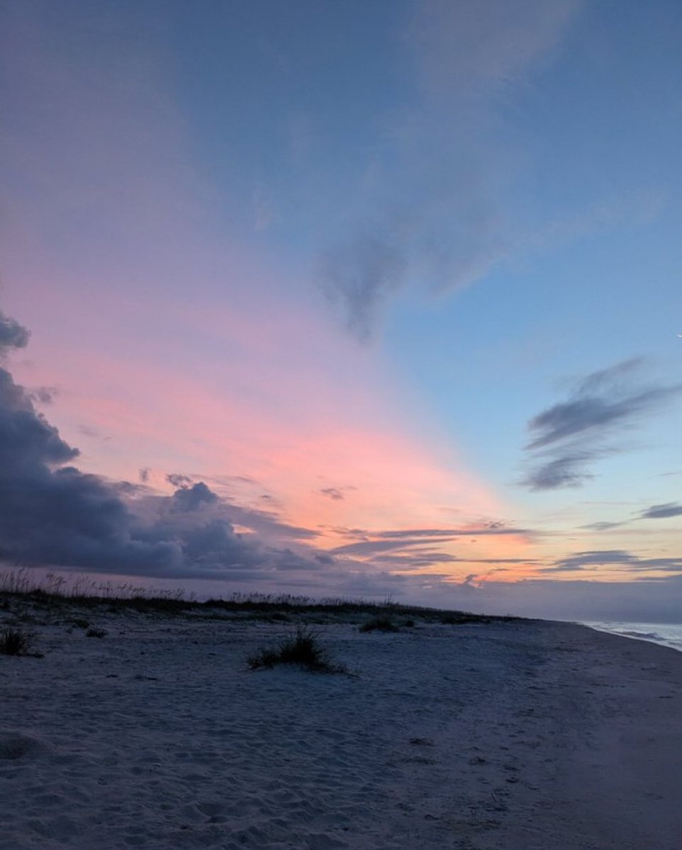 KateElner's tweet image. Nice 😊 View