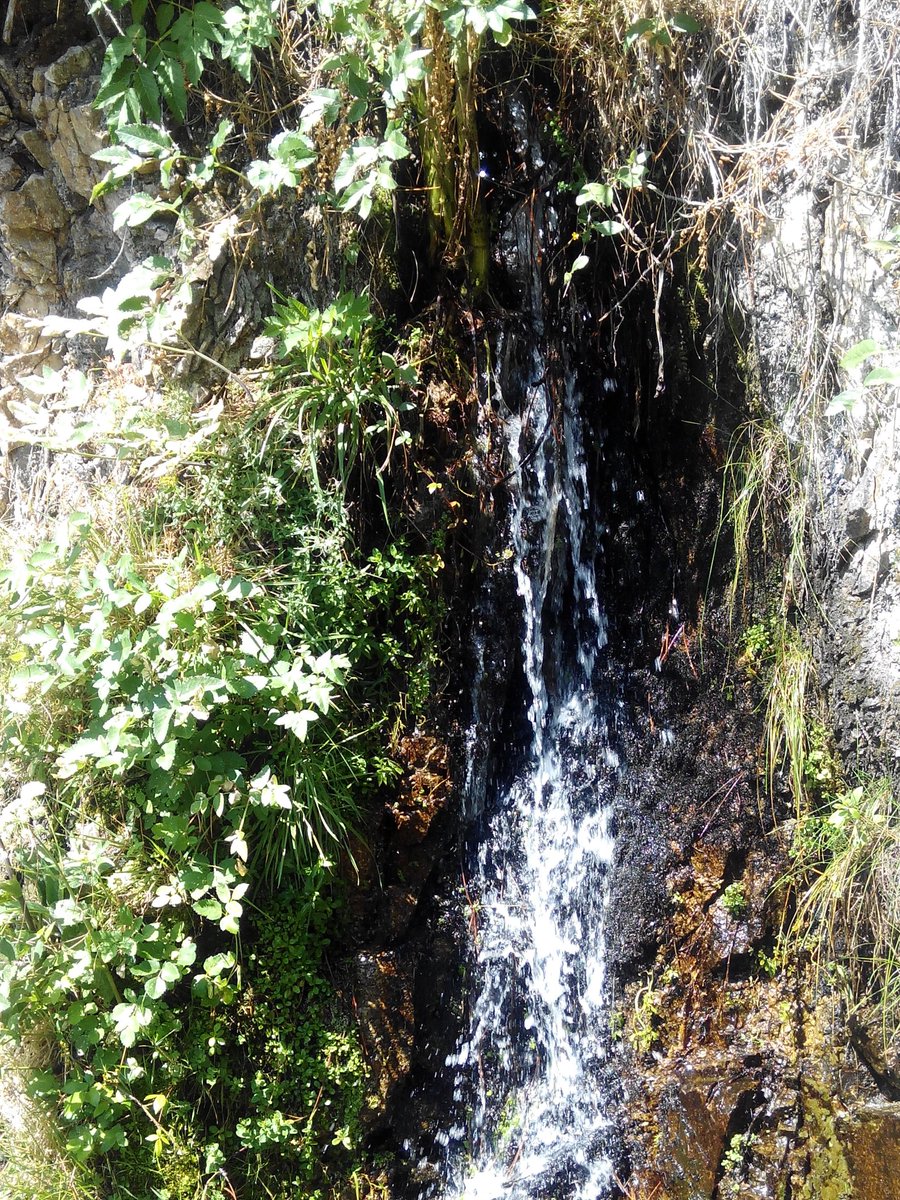 E.J. Gómez Ferreras (@ejogomezferrera) on Twitter photo 