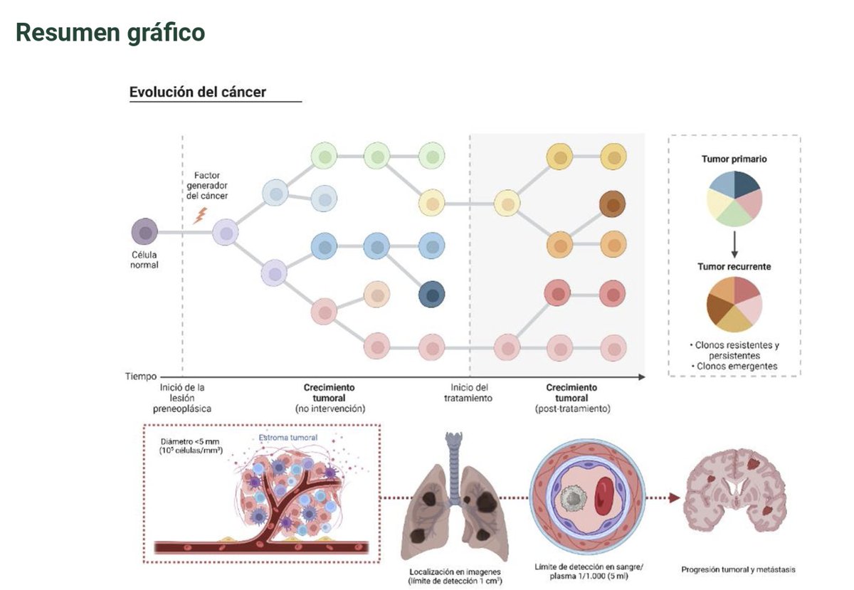 AndresFCardonaZ's tweet image. Biología el cáncer temprano: una visión desde la práctica clínica. Alejandro Ruíz et al. 
@ANM_Colombia @JuanMAnayaC @InvestigaCTIC