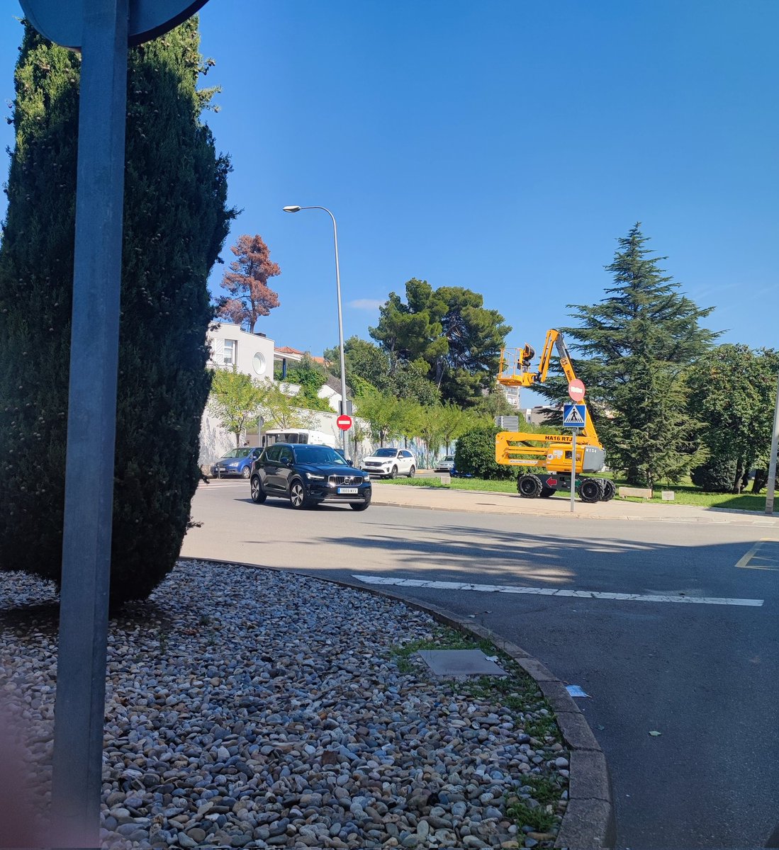 Avui s'han tallat 3 arbres a l'avda. Gaudí a #Igualada, cal dir, que tots 3 estaven morts, esperem que siguin substituïts.