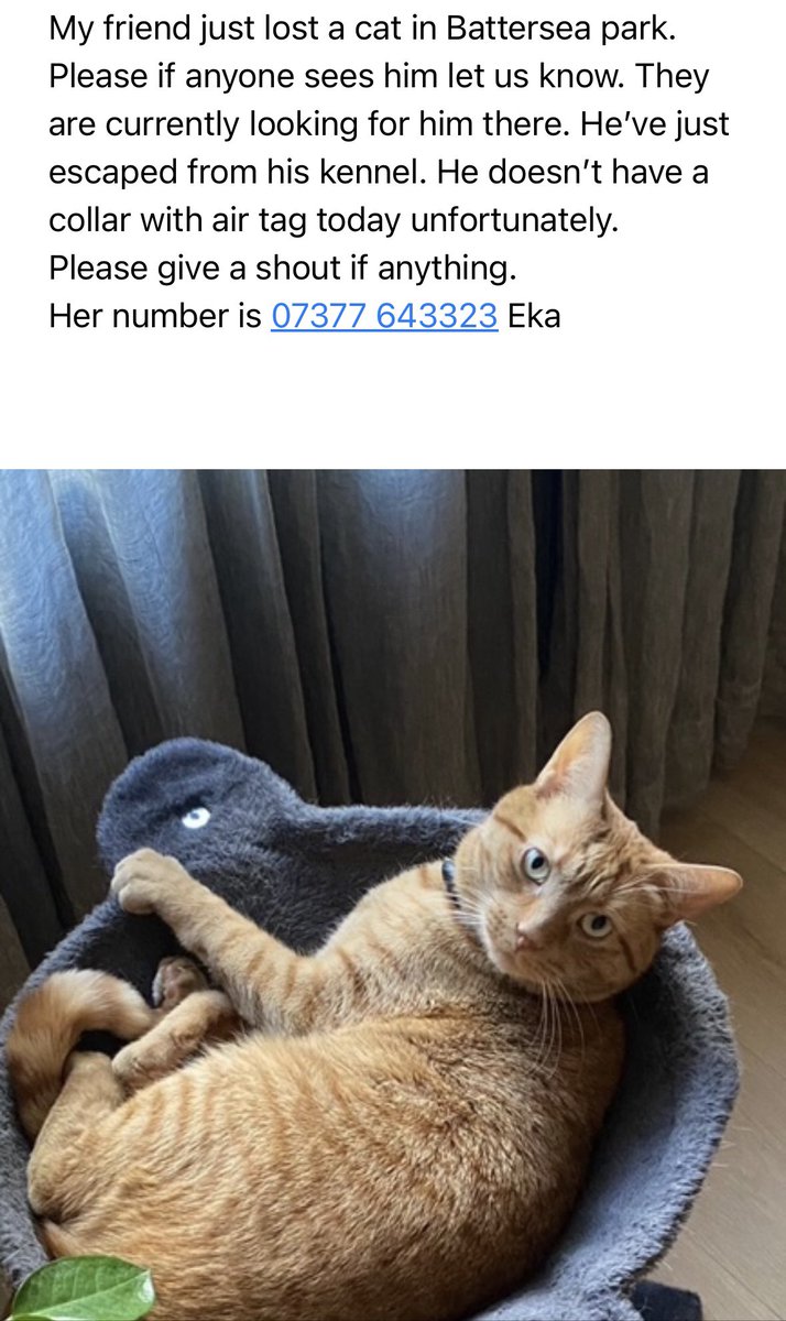 Warriner Watch tweet media