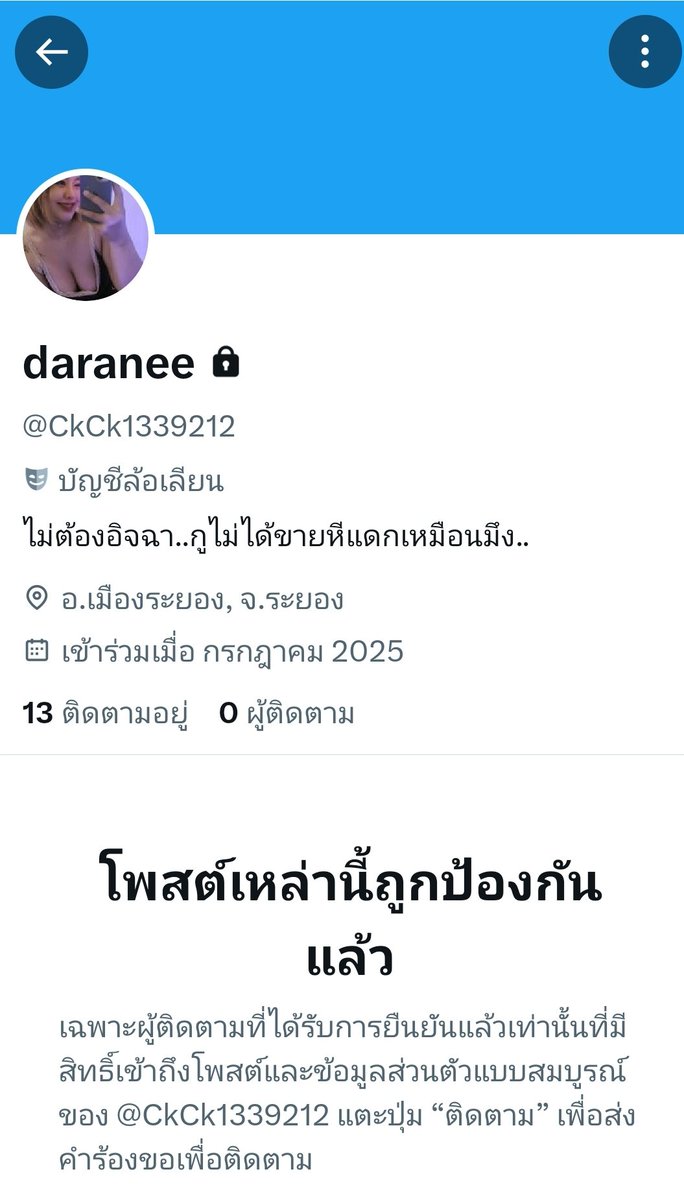 daranee tweet media