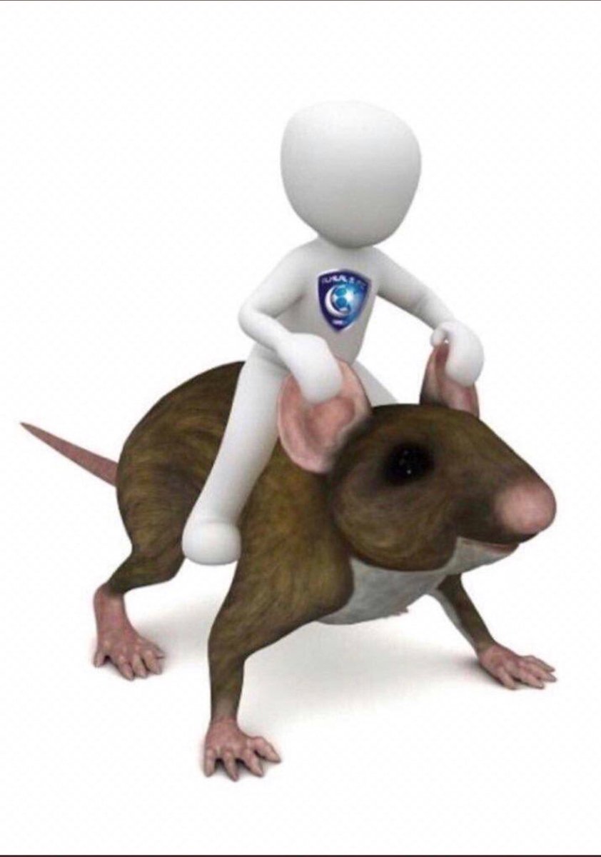 #الهلال_الاهلي
اشتغل ..