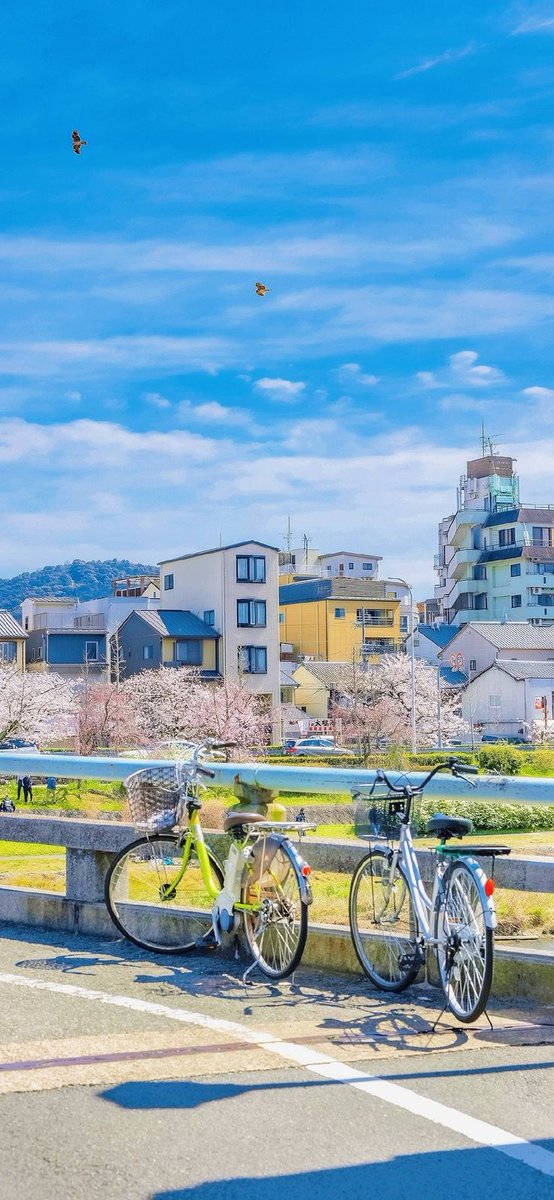 Clover (@nowbba) on Twitter photo 