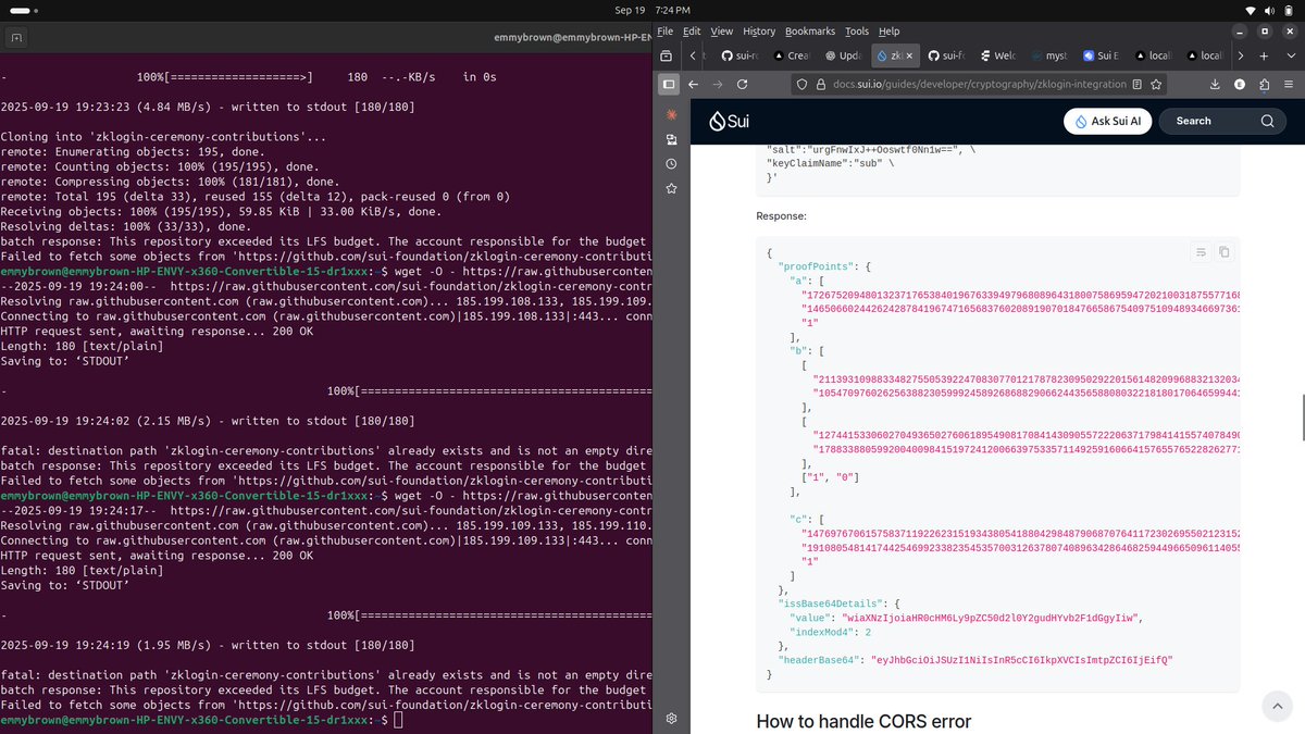 gSui $SUI devs!
Please does anyone have a back-end already running a zk-login proving service or knows a way i can get this running. I want to sign zk transactions on testnet. And i cant use devnet for this project  unfortunately. 
Please help.