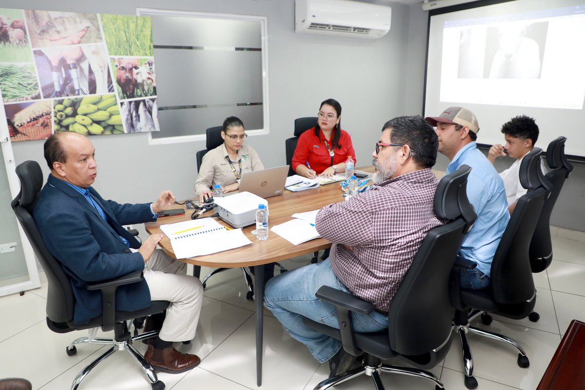 🐑🐐 El BDA, comprometido con el desarrollo del sector ovino-caprino a nivel nacional, sostuvo una reunión con la Cooperativa Ovino-Caprina de Panamá, en la cual se lograron unificar criterios y abordar temas de interés para este importante sector.
#ConPasoFirme 🚜
#BDAgroInfo 🌱
