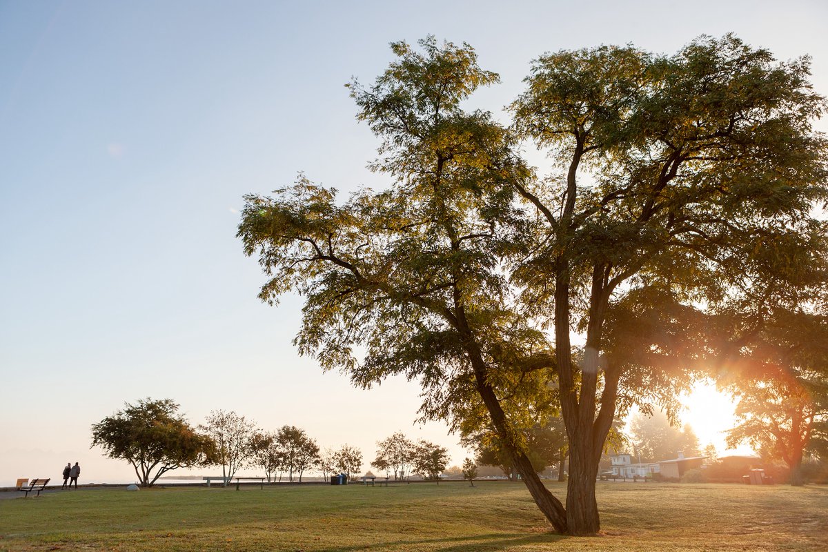 The oceanside community of Ocean Park is a peaceful neighbourhood with timeless charm.

As the only new-build in the heart of this beautiful enclave, we’re excited to welcome residents to Rockford in the heart of this serene South Surrey community: rockfordbycressey.com