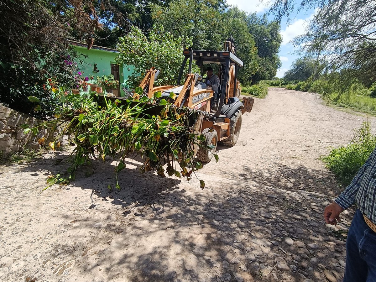 ObrasPublicasDG's tweet image. ⚠Trabajan coordinados @gobdgo y @DurangoCap para prevenir riesgos por lluvias en zona rural; retiran lirio de Puente del Diablo.
#DurangoEsElCamino