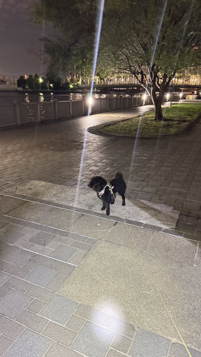 🧔🏻はダイエットしてるんだって。