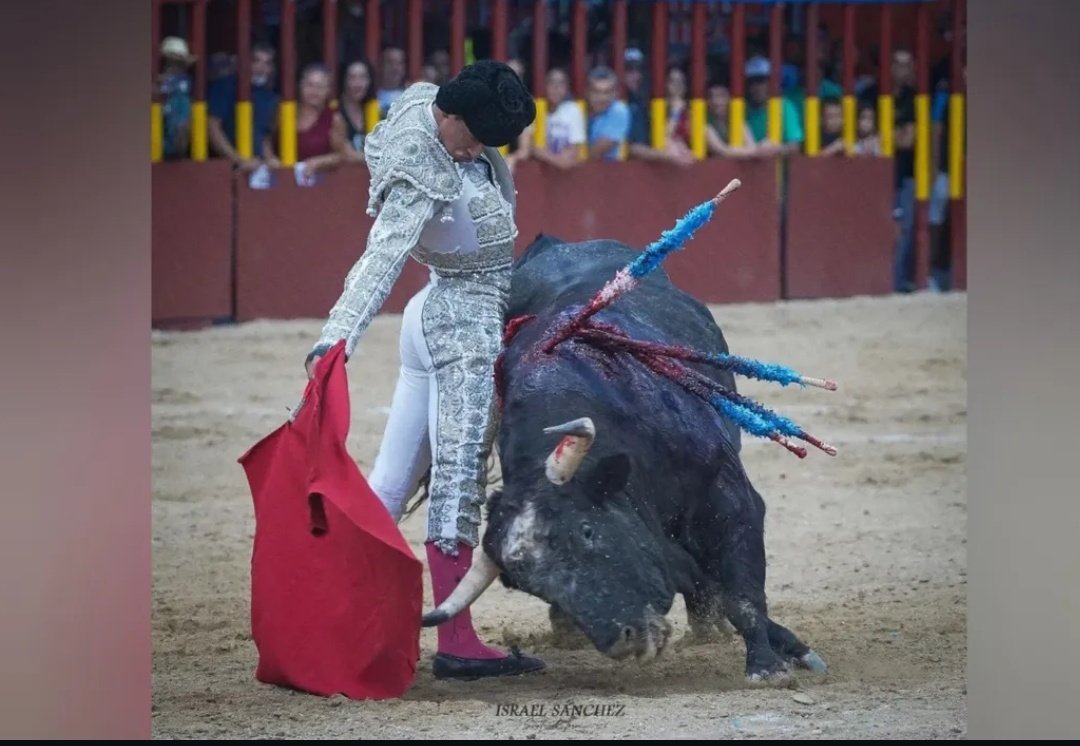 Después de una semana aún sigo acordándome de la faena de Emiliano Osornio, ante un gran novillo de Torrenueva en Arganda del rey. La faena de la feria sin duda alguna, la mejora en comparación con su primera actuación en Madrid es asombrosa.
Muy ilusionado de verlo en Madrid.