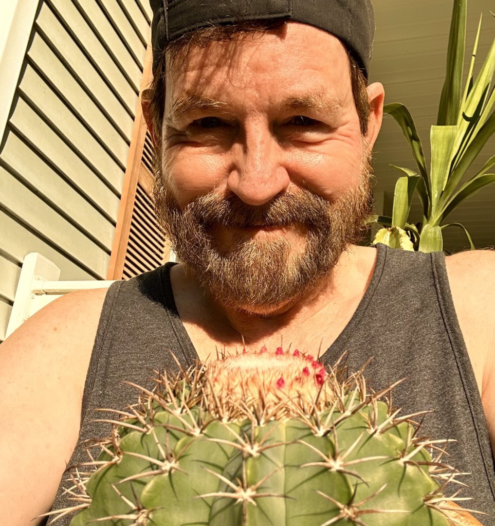 MusicCityArts's tweet photo. Do #cactuses bloom in #Tennessee. Actually, yes. One of mine (only two years old) is blooming for the first time. It loves the morning sun. #ChuckWhiting #ChucksDiary #MusicCityArts https://t.co/ozskK1MZVU