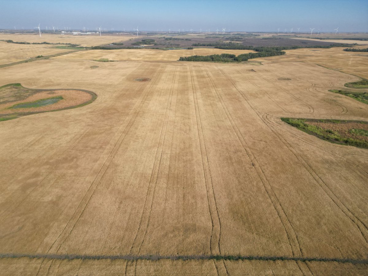 Adam Fast tweet media