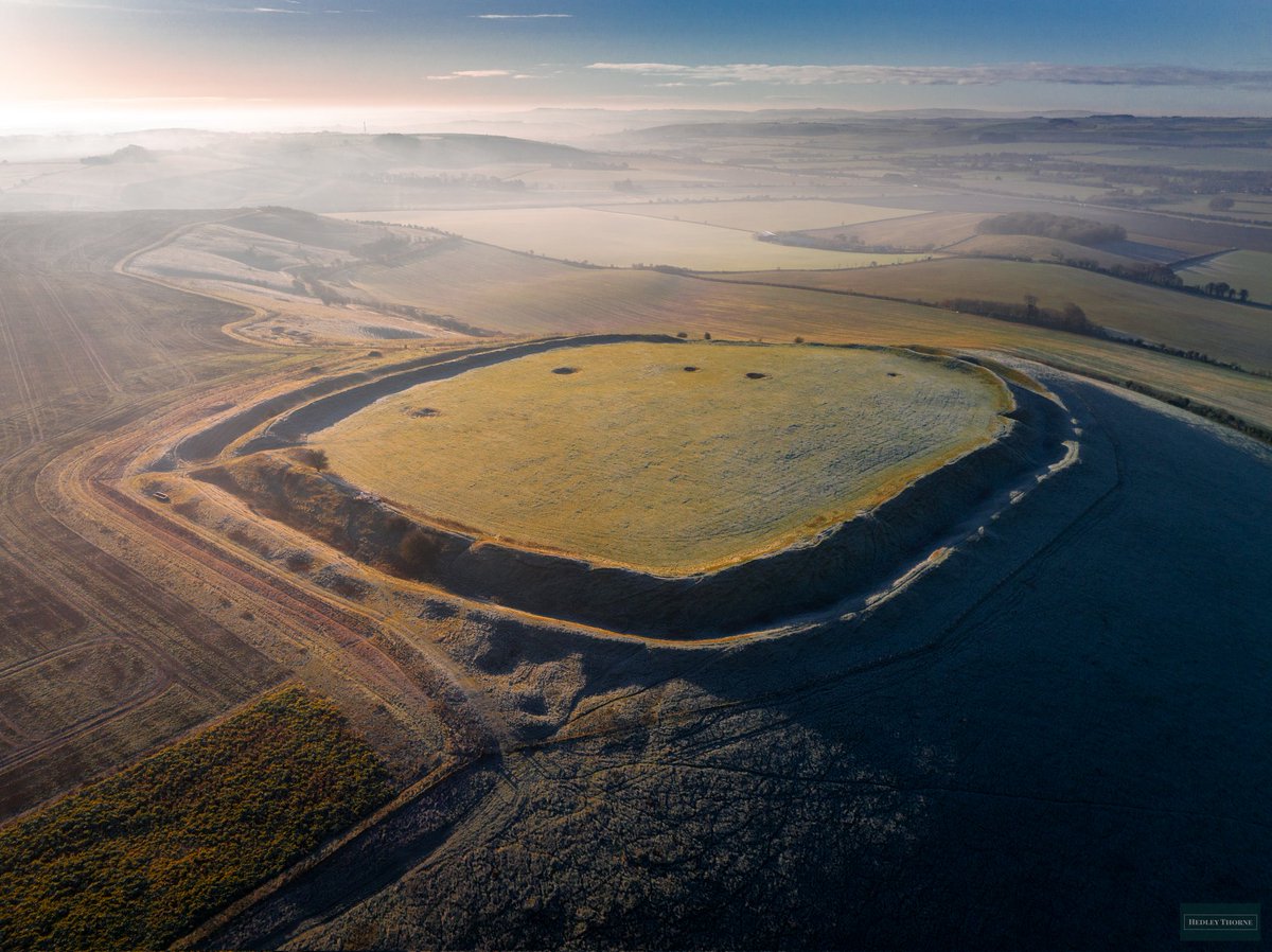 𝙃𝙚𝙙𝙡𝙚𝙮 𝙏𝙝𝙤𝙧𝙣𝙚 tweet media