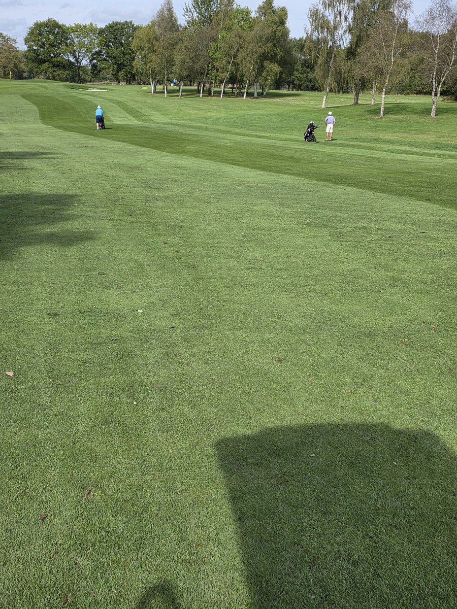 wilsoncleaver's tweet image. A few areas still struggling on fairways but for the most part they are bouncing back well. Fairway overseed coming up with a custom mix after a visit from Matt Gresty from dlf seeds and @SamSweetzer  identifying what has come through well.