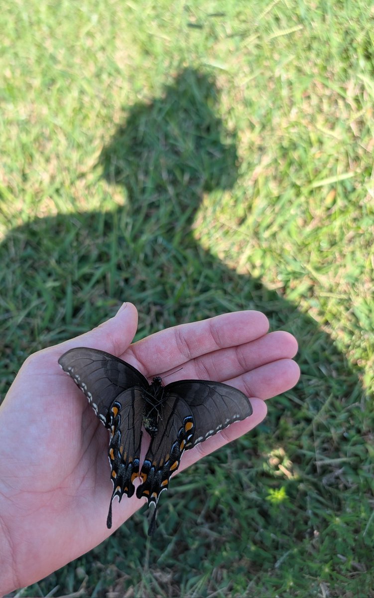 Found on my run 
Also ran 10 MILES 
well jogged. But still my first time jogging 10 miles ever 🎉