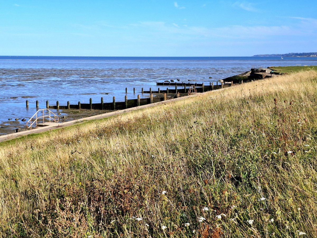 _VillageVoices's tweet photo. Out and about at Grain Coastal Park earlier today #grain #isleofgrain #hoopeninsula #strood #rochester #kent #rivermedway #thamesestuary https://t.co/wH5hxGPKcc