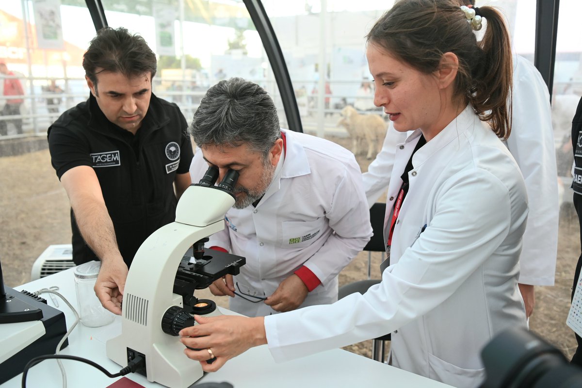 🌱 Tohum nasıl ki tarımın başlangıç noktasıysa teknoloji de verimliliğin anahtarıdır.

📍 #TEKNOFEST Tarım Teknolojileri Kümelenmesi (TÜME), Bakanlığımız ve üniversitelerimizin de işbirliğiyle oluşturduğu akıllı tarım ekosistemiyle, özel sektör ve çiftçiyi bir araya getirirken,