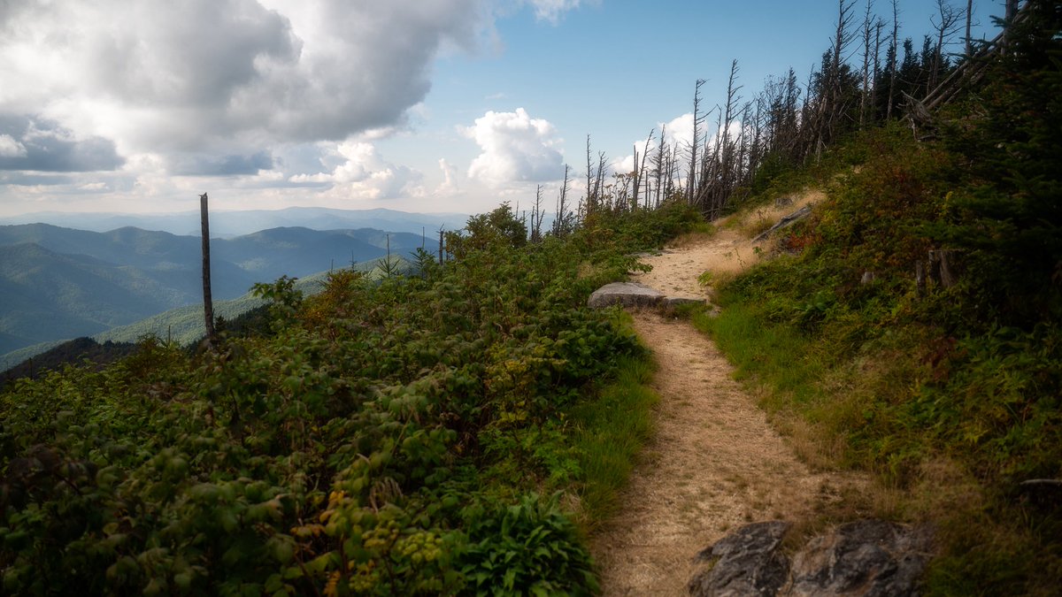 Hints and shades, but the best is yet to come. 

📍Mount Mitchell State Park
