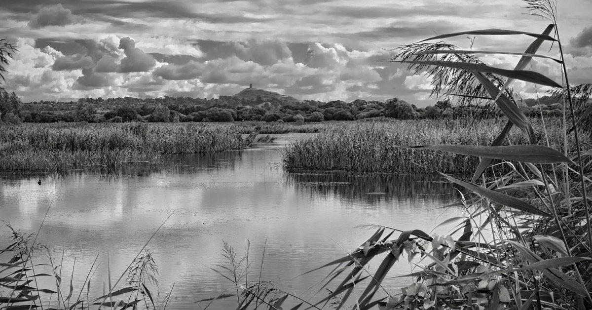 Captured at the Avalon Marshes Nature reserve by Crowd member Tim White, this beautiful shot secure Tim a well deserved judged gold in our recent “The Beauty of Somerset, UK” contest. Created and judged by Josh Lomen Photography.  🏆 

photocrowd.com/photo-competit…