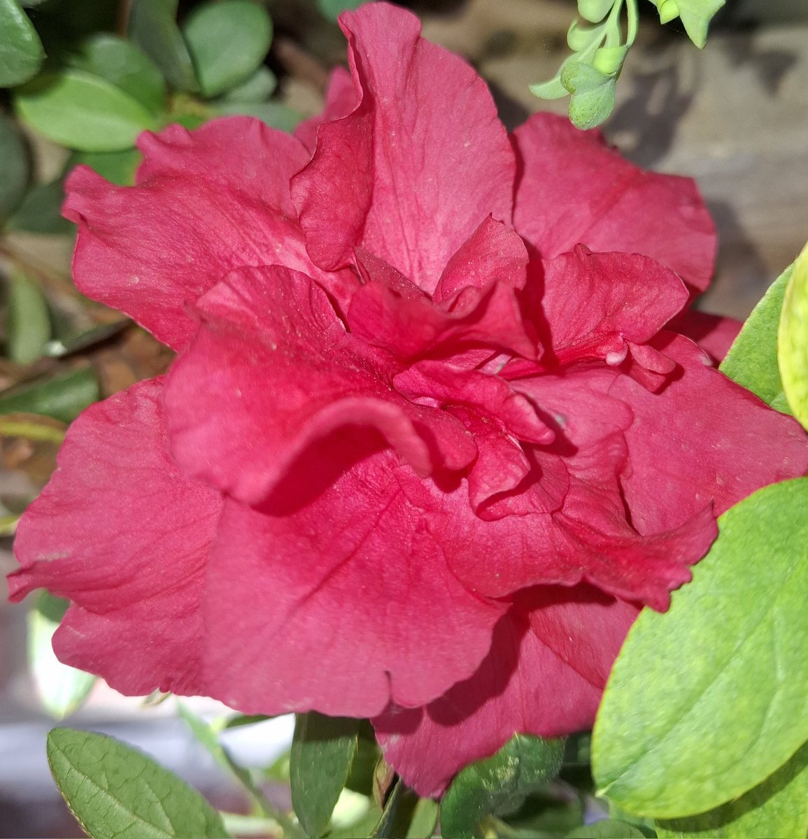 Bon cap de setmana gent bonica👍😘😘