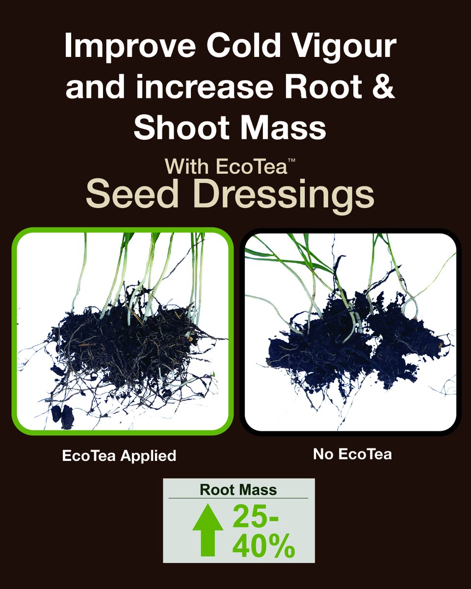 EcoTea™ tweet media