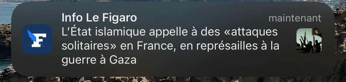 Macron veut que la France reconnaisse la Palestine pour « la paix ». Et voilà que les islamistes menacent de nous attaquer.

Emmanuel Macron est décidément un Président sans honneur. Il est né avant la honte.