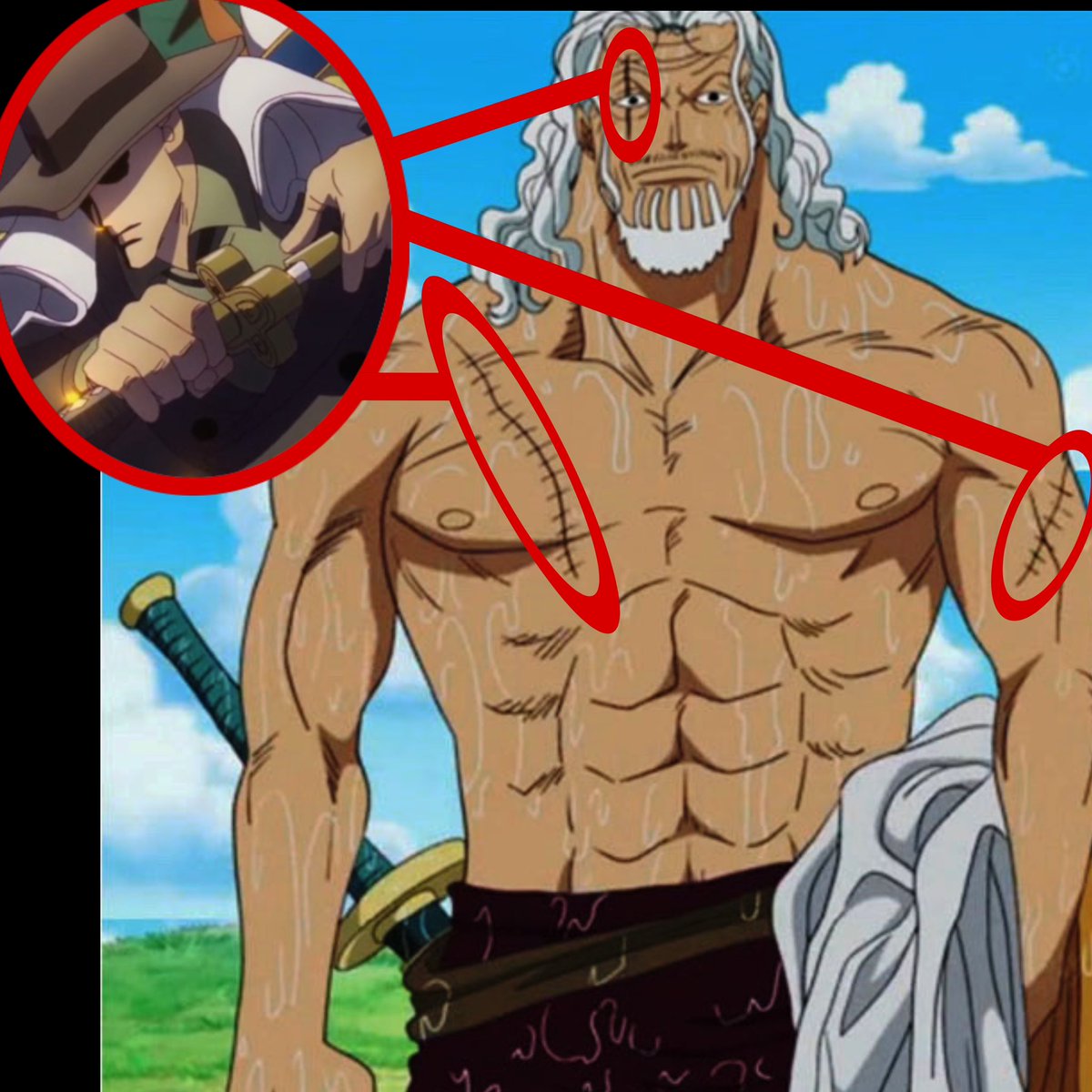 “Rayleigh’s scars come from his numerous bouts with the swordsman who follows garp” -Bogardguy, 2025