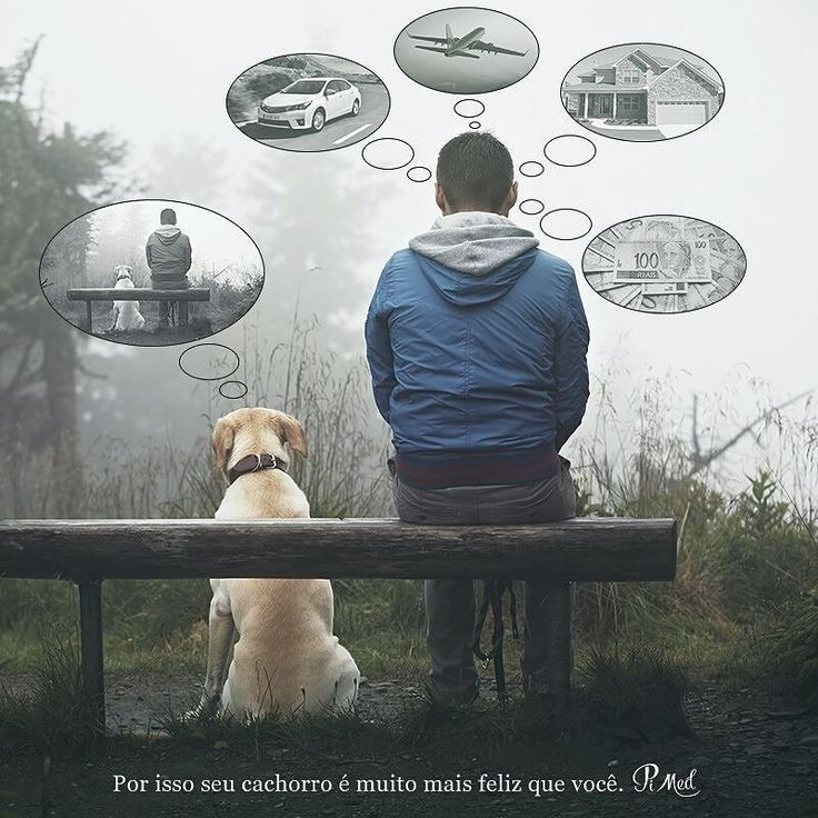 zusegurola's tweet photo. Tu perro sabe lo que es la presencia. Tenemos tanto que aprender de ellos. https://t.co/nlFFoV7Vl1