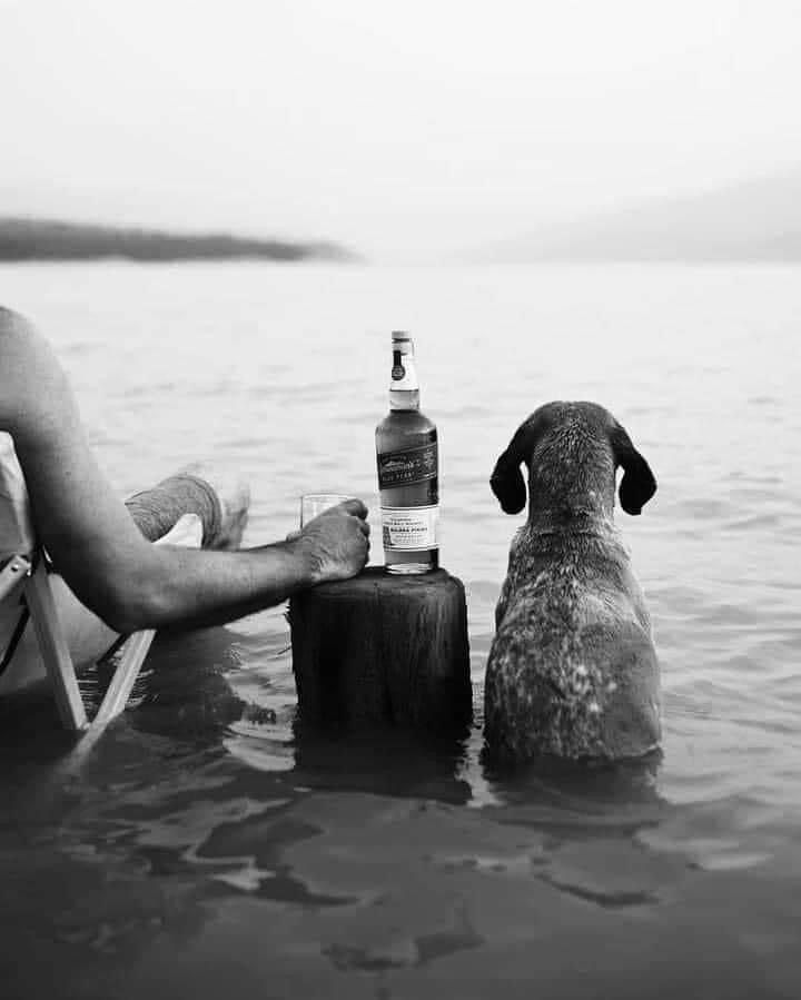zusegurola's tweet photo. Una tarde con tu perro, un día te darás cuenta de que era la felicidad absoluta. https://t.co/vjLr63T4Nb