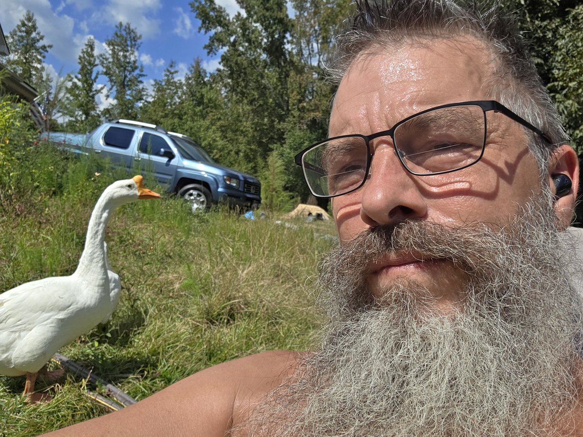 I smiled when i realized the camera was in reverse, ever so slightly.  The goose is 90° to the gander...  who has the wrong course?