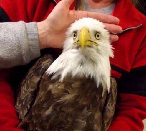 Beyler biraz maçamı asılsanız hiç tat vermiyorsunuz artık ? <a href="/Besiktas/">Beşiktaş JK</a>