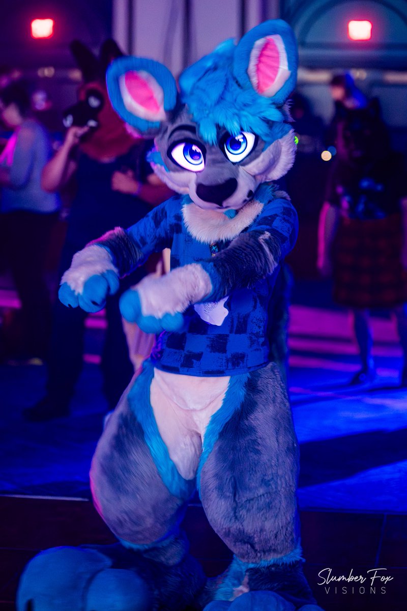 Boogying

📸: <a href="/SFV_Photography/">Slumber Fox Visions</a>