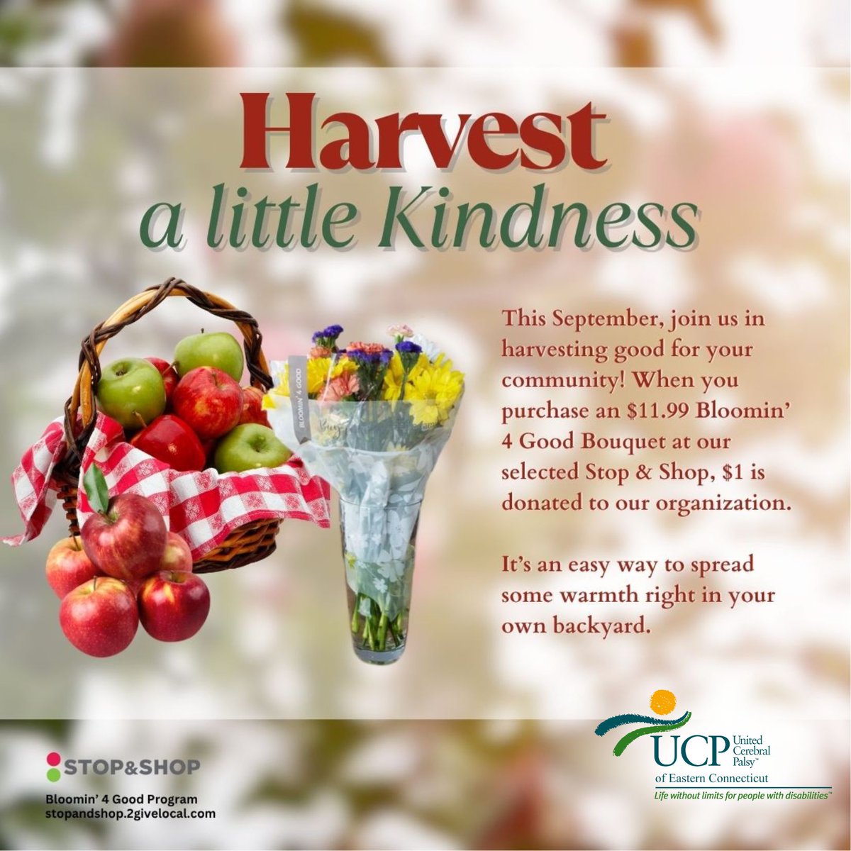 UCP of Eastern CT tweet media