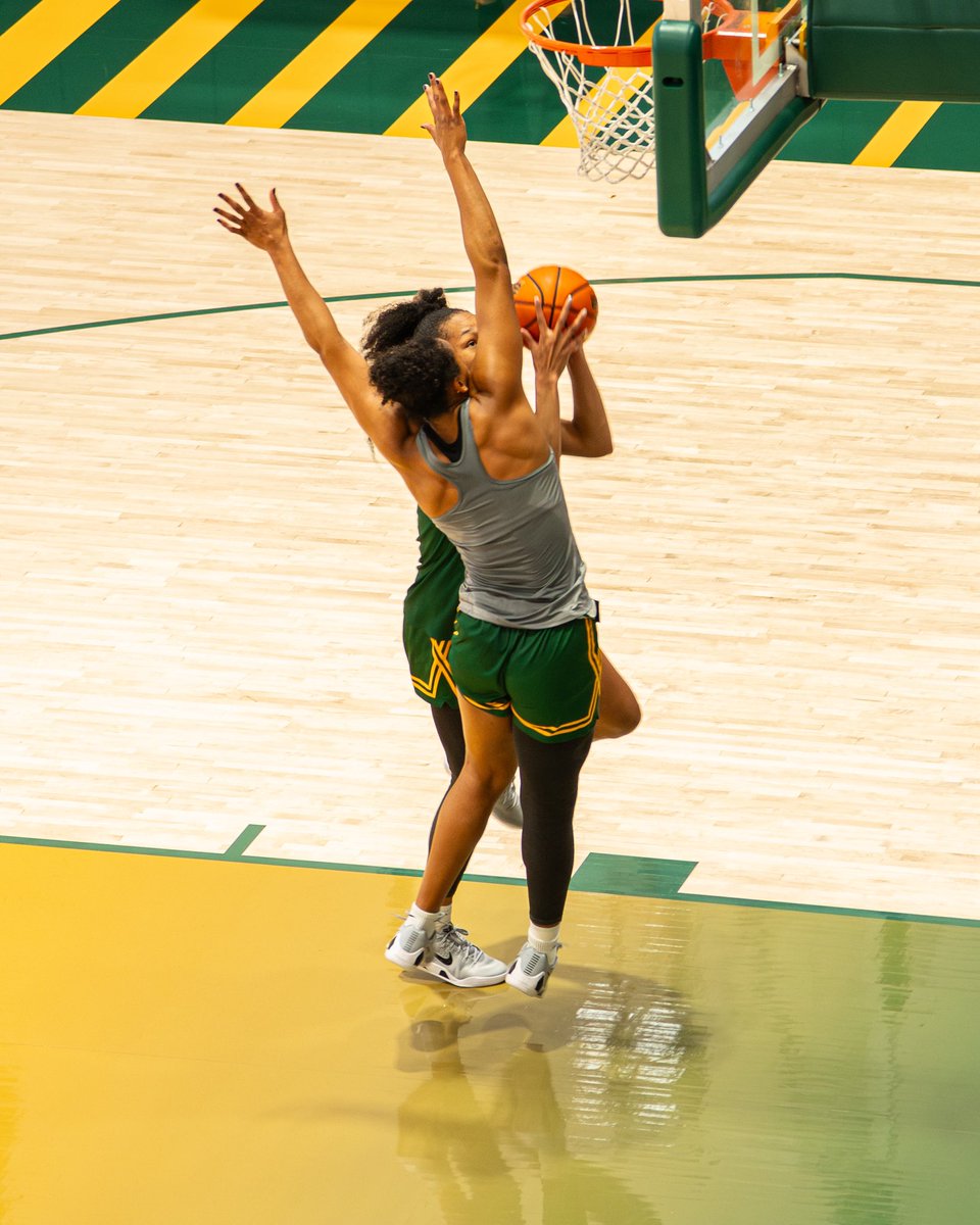 Baylor Women's Basketball tweet media