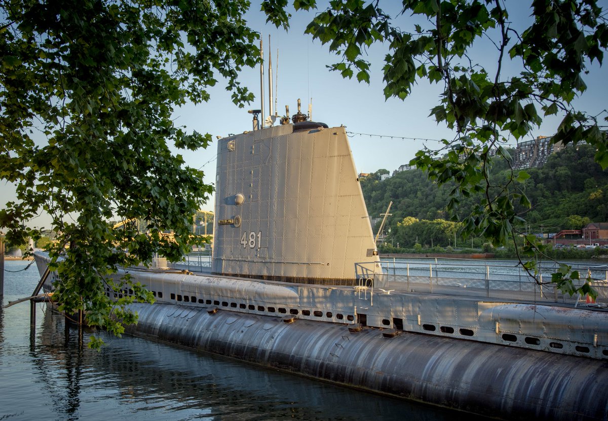 Carnegie Museums tweet media