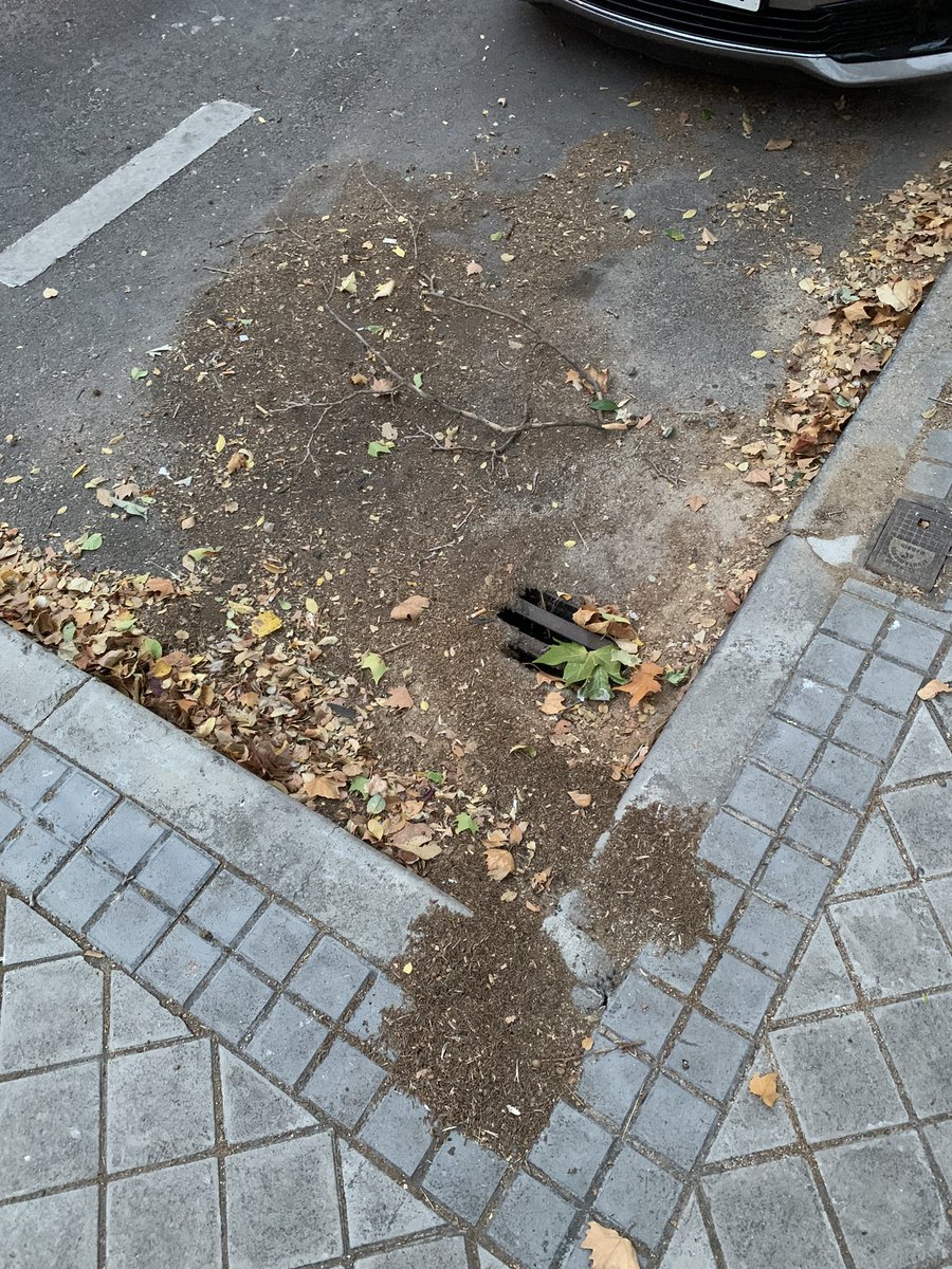 mirimix3's tweet photo. FYI @AytoLeganes @Leganes_MAmb A la persona encargada de limpiar la calle del Roncal, se le van a juntar las hojas de 2024 con las de 2025. Comentar que el sistema de alcantarillado en caso de lluvia va a quedar inutilizado, y los árboles en medio de la acera obstaculizan el paso https://t.co/8f0V87Rvcq