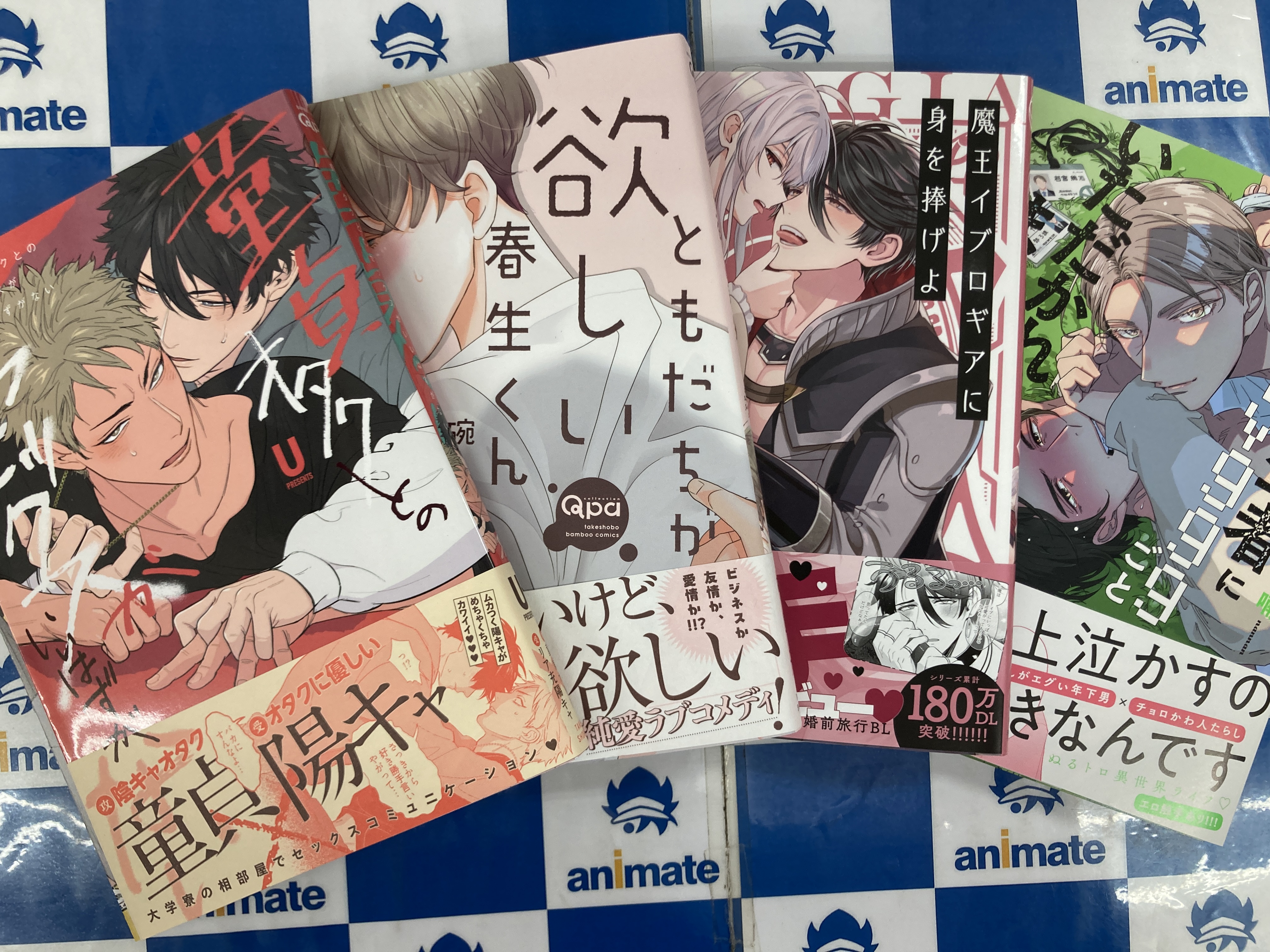 アニメイト鹿児島 on X: 