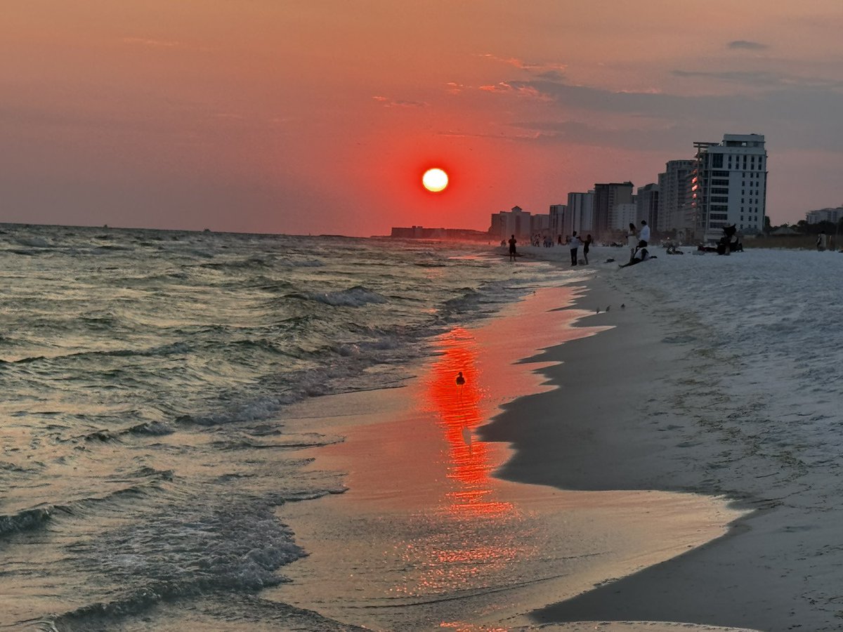 brooksy767's tweet photo. @spann Friday sunset Henderson State Park, Destin https://t.co/hep9bMqZkM