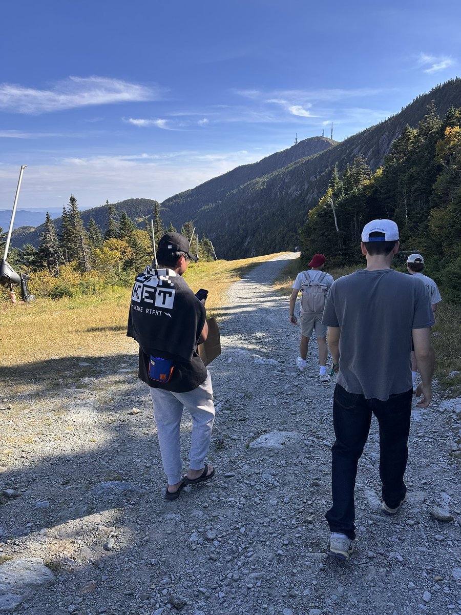 Toady Hawk tweet media