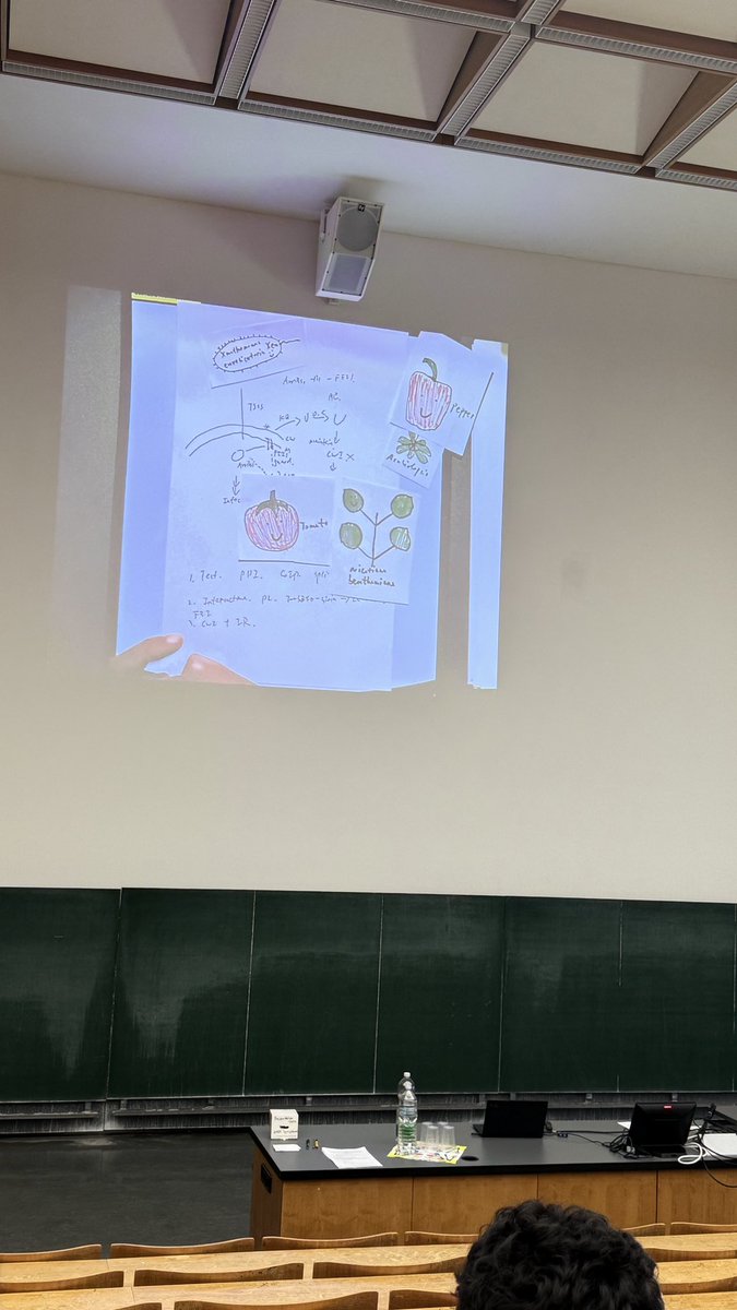 DebanganaMoitra's tweet photo. Time flies—just a year ago I gave my first chalk talk at the ZMPP symposium. This year I had the privilege to present again, now with a flash talk + poster. A wonderful experience sharing and learning with the community! #ZMPP2025
@ZMBP_Tuebingen https://t.co/UaGJeRhdxg