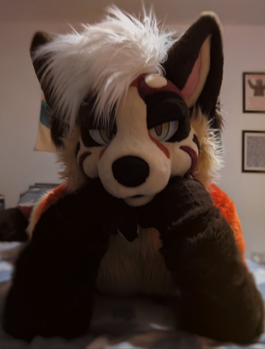 sup, critter?~ 🧡