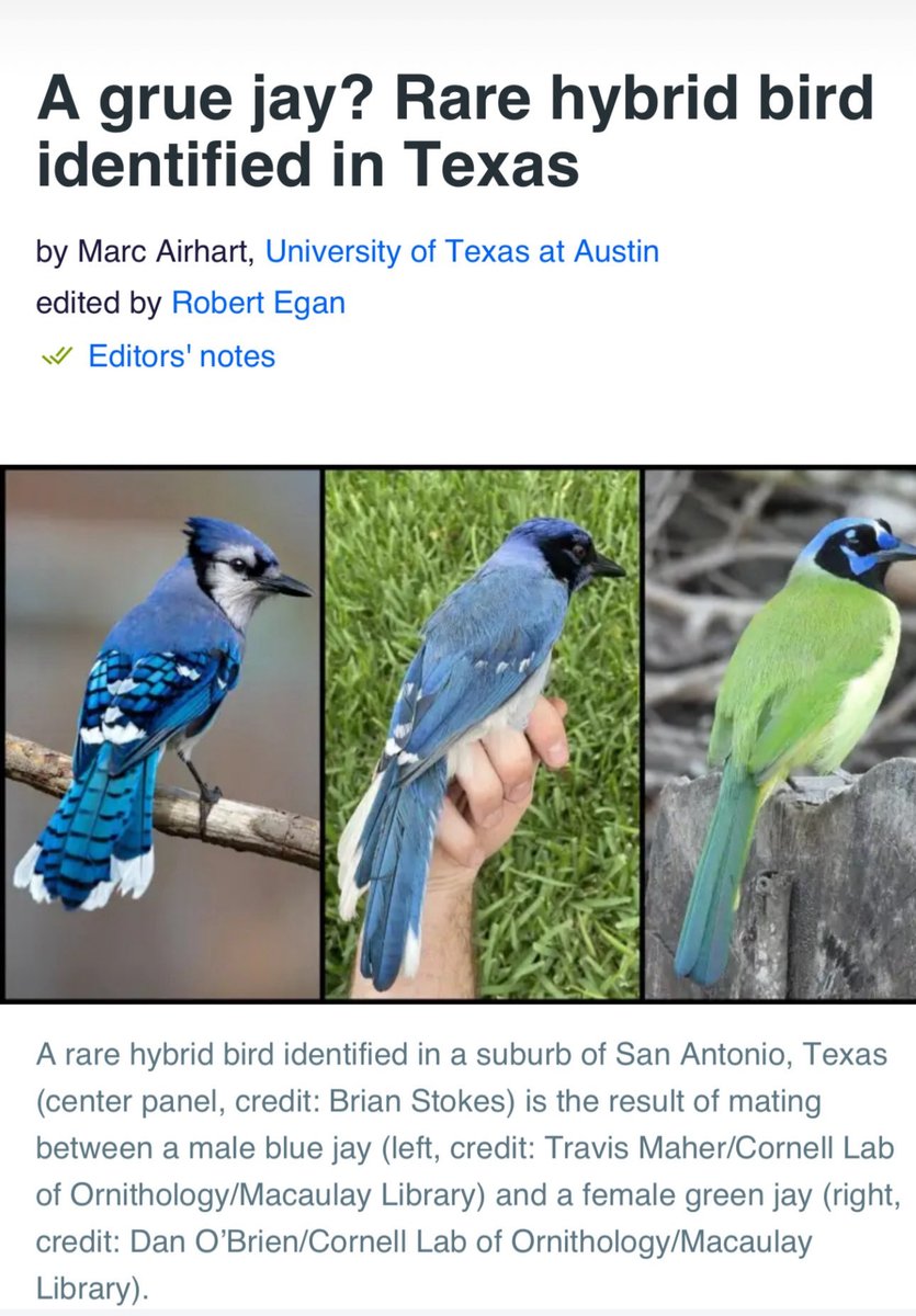 Goodman was a prophet