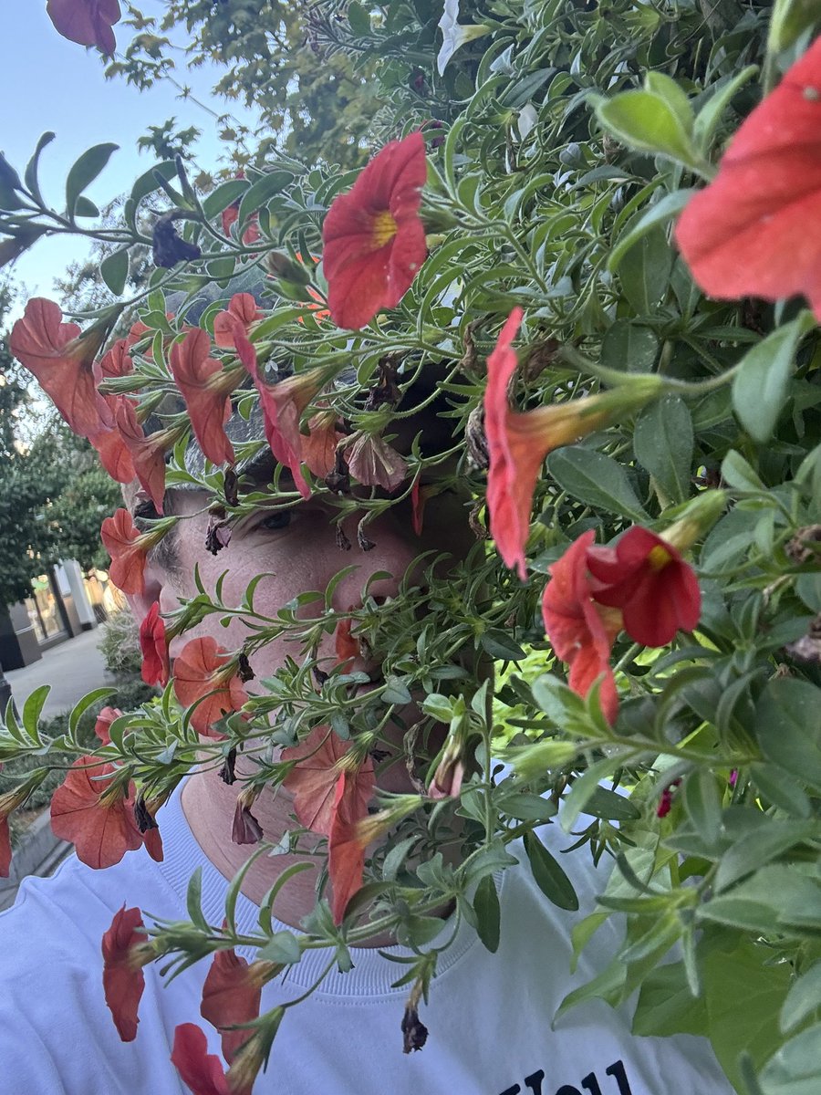 Bet you can’t see me with my camo hat