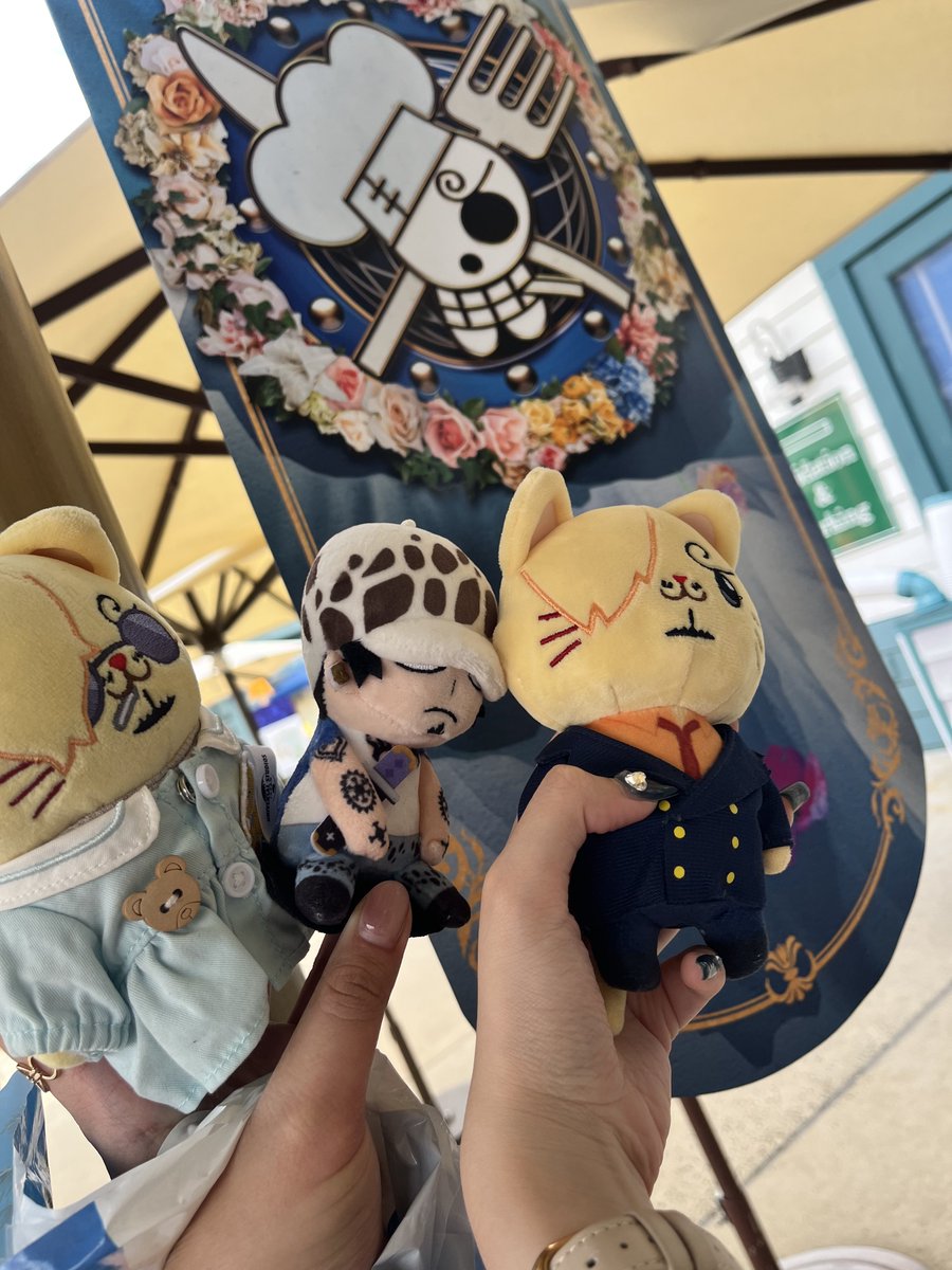 yyy555i's tweet photo. まごちゃのにゃんじにガン飛ばす🐯と「こちら現場のにゃんじ。🐯が柱にくっついてます」のにゃ https://t.co/rdkp2xTMUx