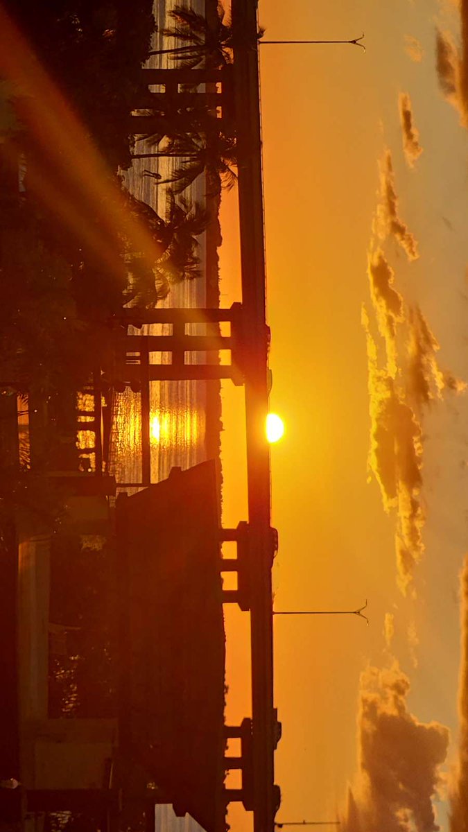 abigail_182_'s tweet photo. Quick trip downtown 🌇 #babe #sunset #downtown https://t.co/oW7af5XWmJ