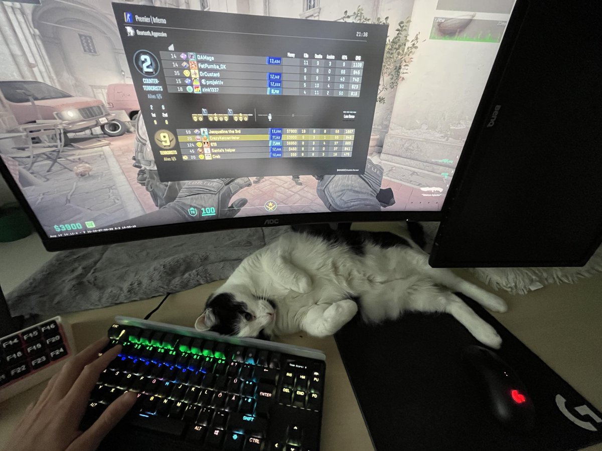 maestroCS2's tweet image. A proven safeguard against a broken monitor and a broken keyboard ✨