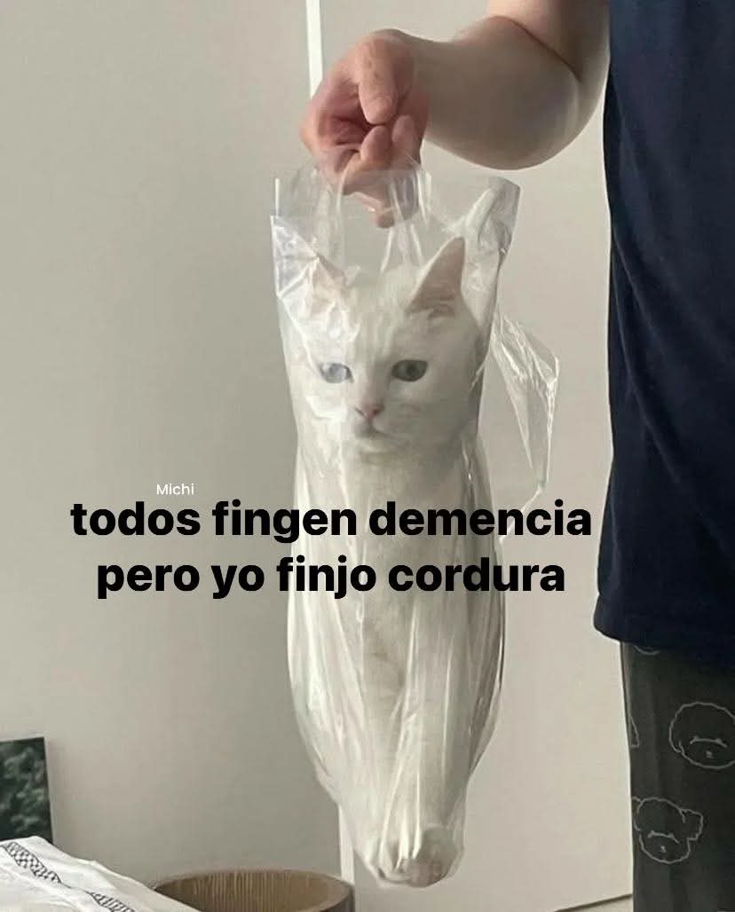 <a href="/inkjkv/">Keo</a> ¿Qué esperabas de X? Es normal encontrar comentarios de usuarios con las opiniones más tontas, ofensivas y estúpidas. Y todavía tienen el descaro de poner en su perfil "si viniste aquí es porque te ardió 🚬🚬🚬".